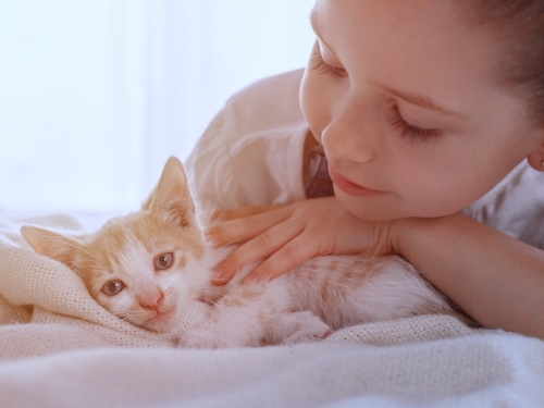 クラブVCJは、会員制動物健康クラブです。