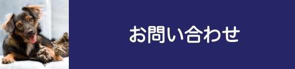 お問合せ